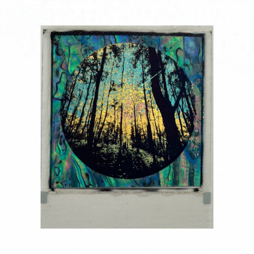 Forest Visions